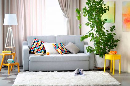 A couch with pillows and a plant in the corner